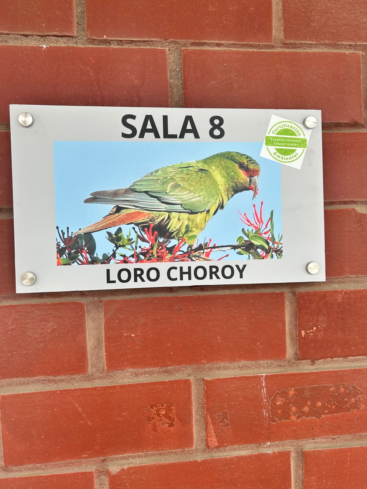 LETREROS DE FAUNA CHILENA LETREROS DE FAUNA CHILENA