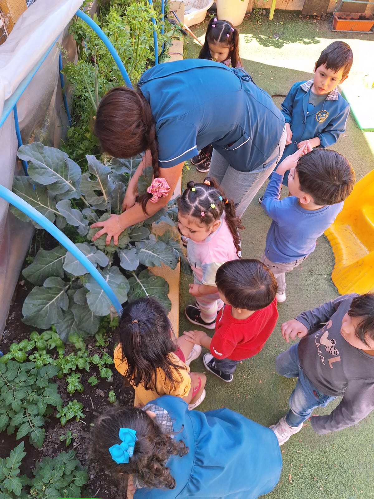 COSECHA Y DEGUSTACIÓN DEL HUERTO ESCOLAR