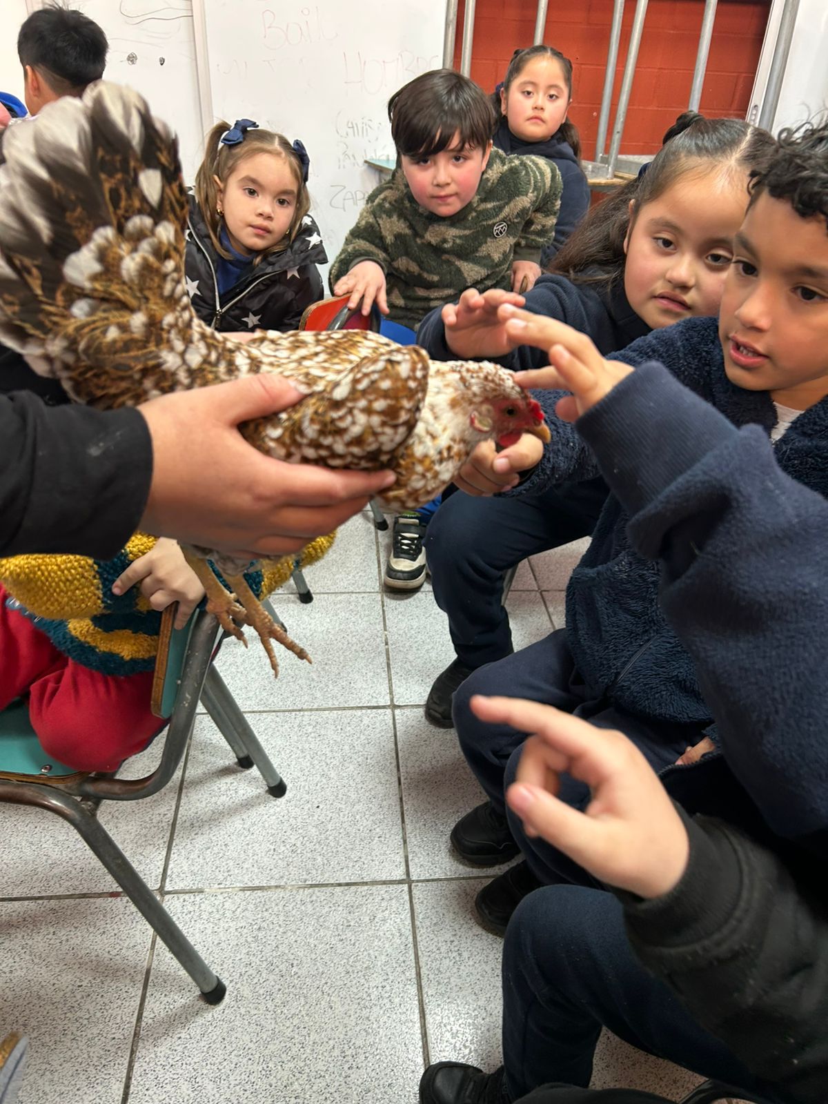 EXPO ANIMALES